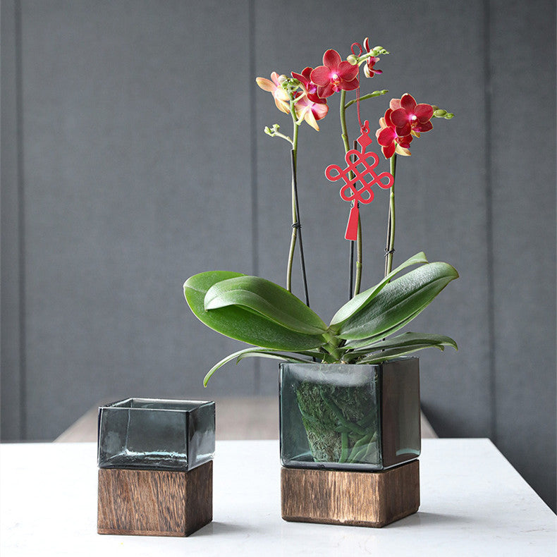 Wooden Transparent Glass Vase