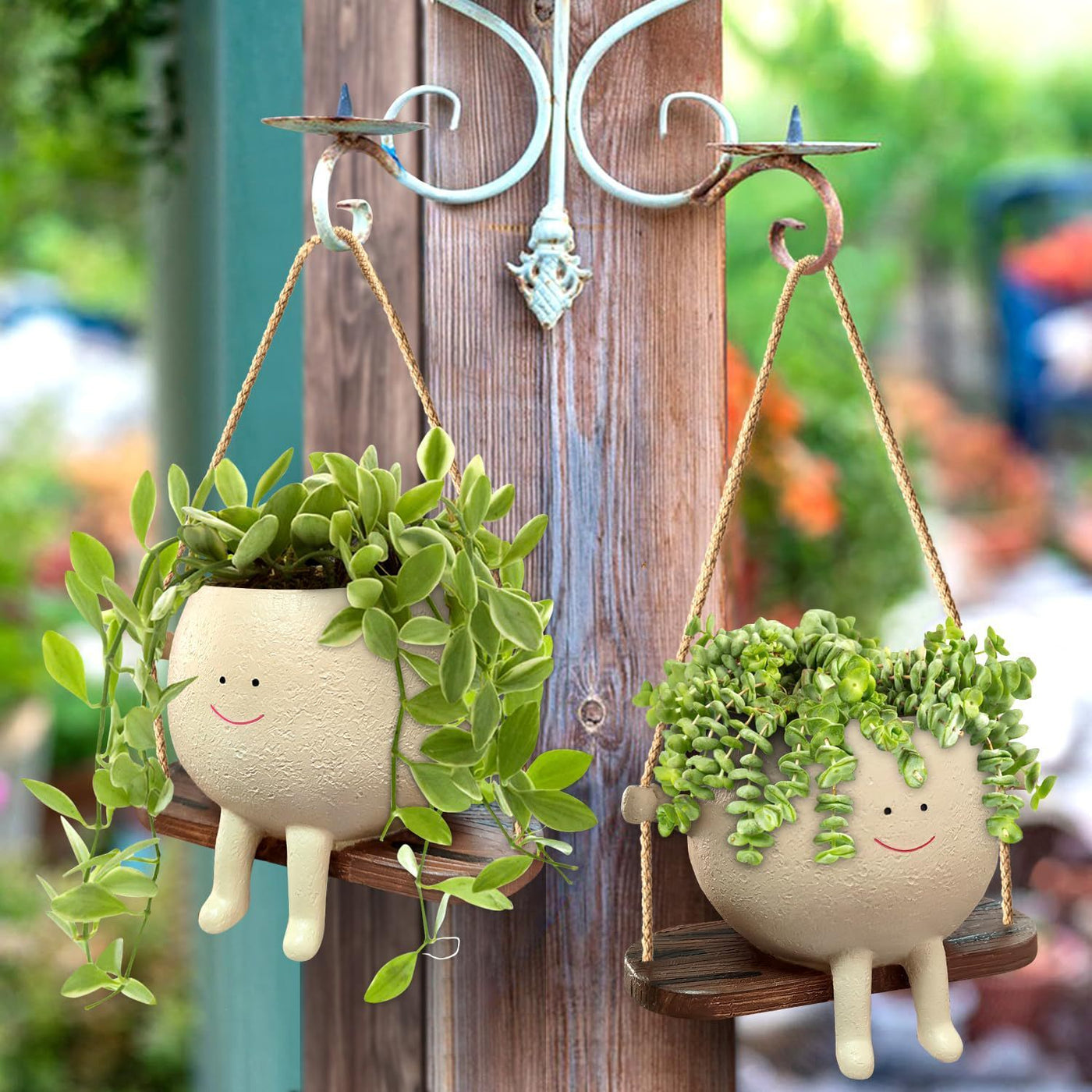 Plant Hanger Baskets Lovely Swing Face Pot