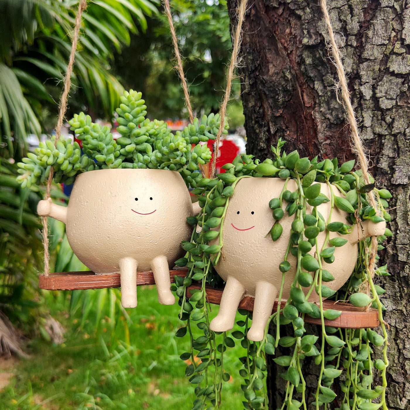 Plant Hanger Baskets Lovely Swing Face Pot